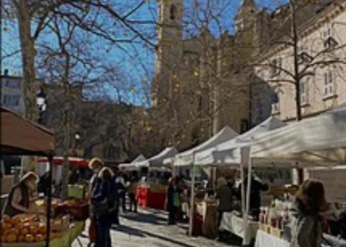 Casa Nancy * 比古里亚